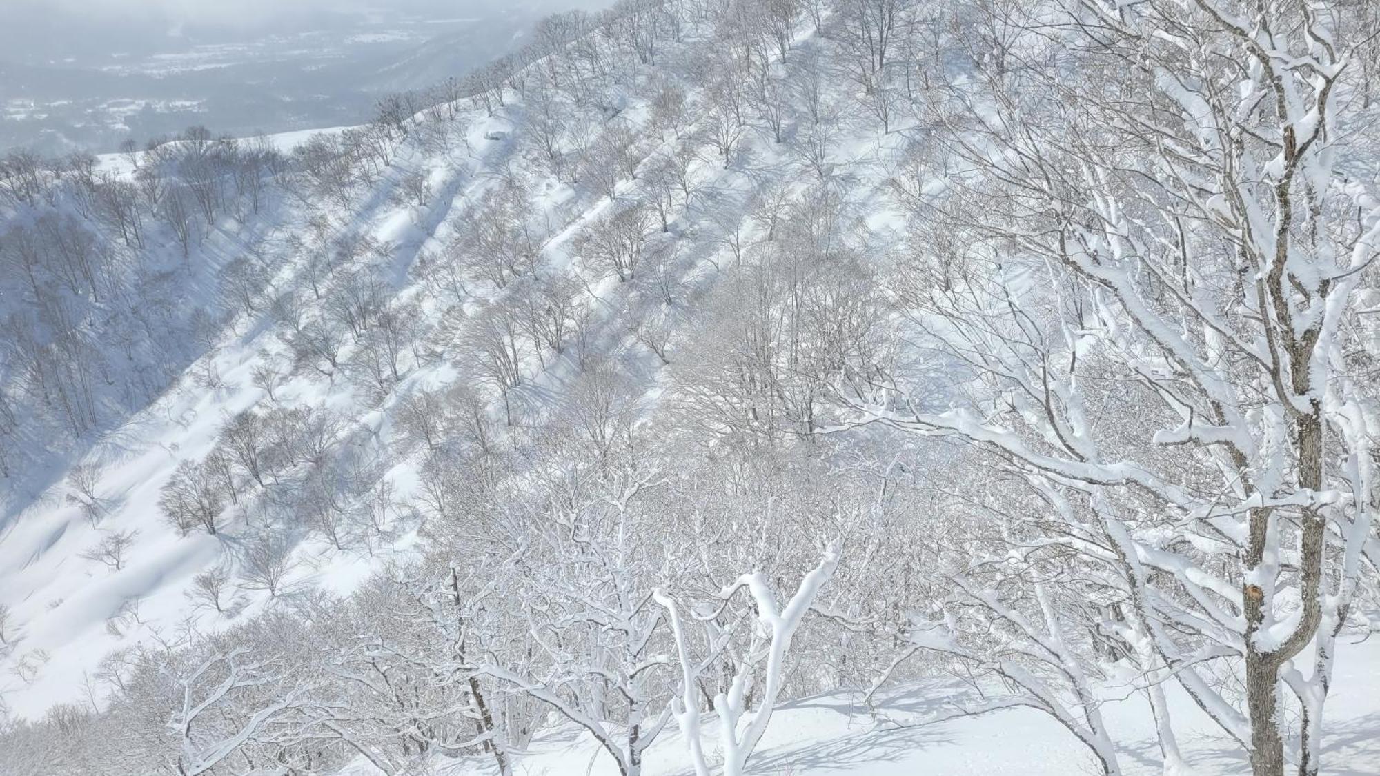 Kodama Lodge Отарі Екстер'єр фото